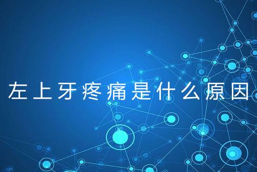 左上牙疼痛是什么原因