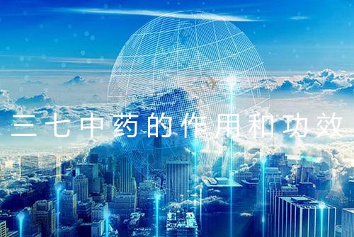 三七中药的作用和功效