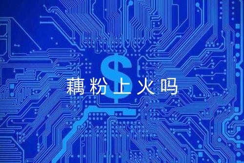 藕粉上火吗