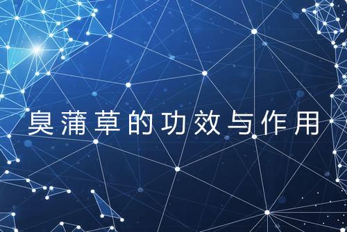 臭蒲草的功效与作用