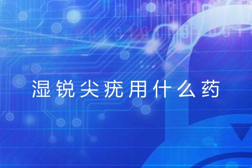湿锐尖疣用什么药