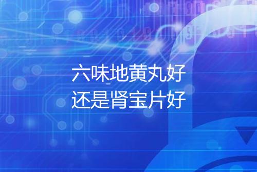 六味地黄丸好还是肾宝片好