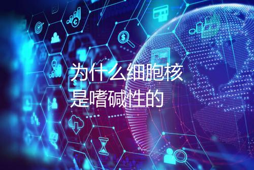 为什么细胞核是嗜碱性的