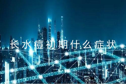 长水痘初期什么症状