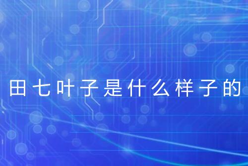 健康资讯图片