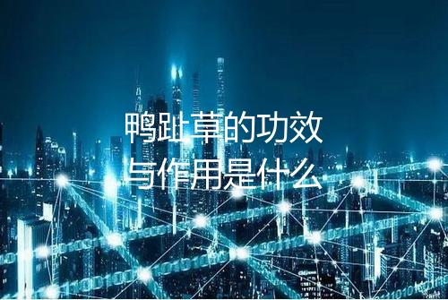 鸭趾草的功效与作用是什么