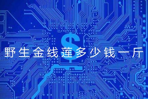 野生金线莲多少钱一斤