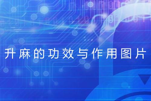 健康资讯图片