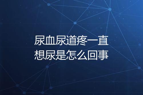 尿血尿道疼一直想尿是怎么回事