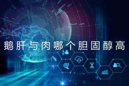 鹅肝与肉哪个胆固醇高