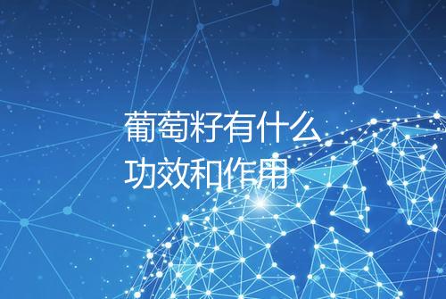 葡萄籽有什么功效和作用