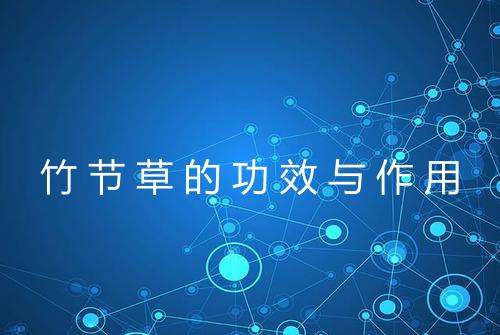 竹节草的功效与作用