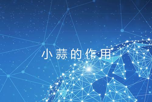 小蒜的作用