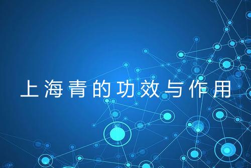 上海青的功效与作用