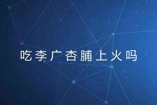 吃李广杏脯上火吗