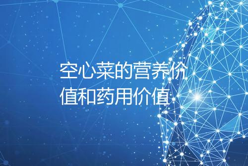 空心菜的营养价值和药用价值