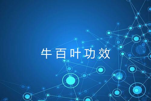 牛百叶功效