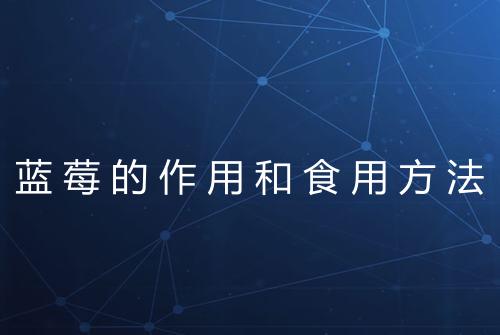 蓝莓的作用和食用方法