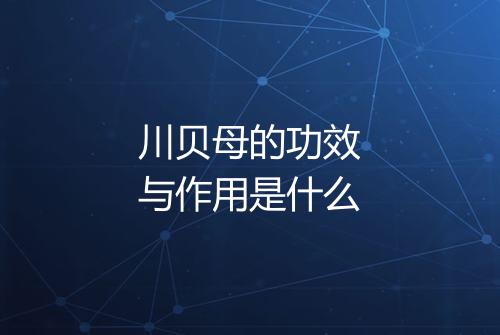 川贝母的功效与作用是什么