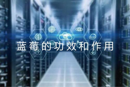 蓝莓的功效和作用