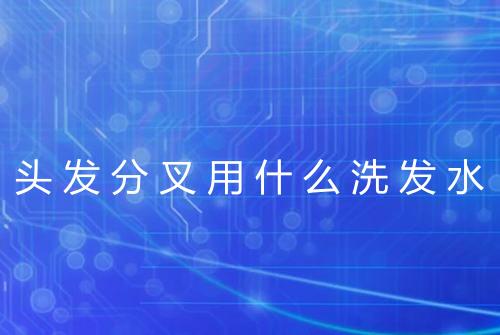 头发分叉用什么洗发水