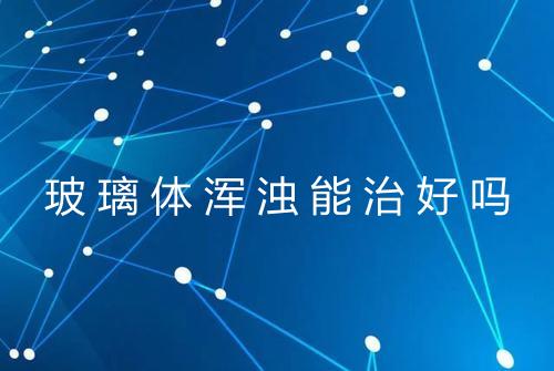 玻璃体浑浊能治好吗