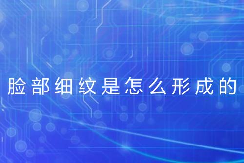 脸部细纹是怎么形成的