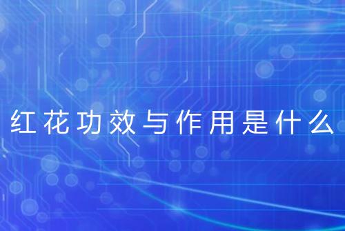 红花功效与作用是什么