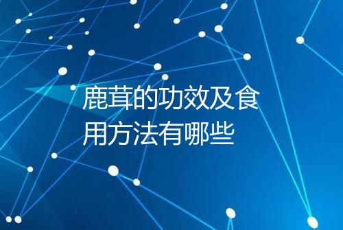 鹿茸的功效及食用方法有哪些
