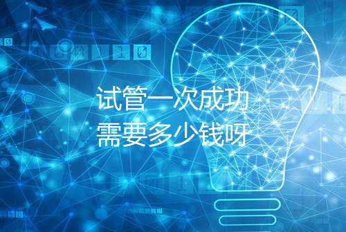 试管一次成功需要多少钱呀