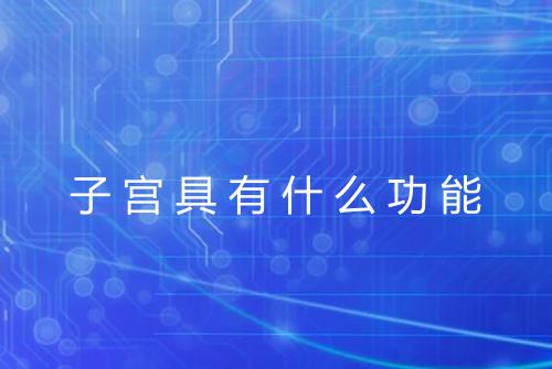 子宫具有什么功能