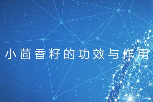 小茴香籽的功效与作用