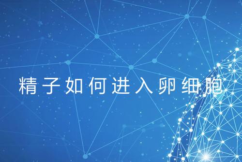 精子如何进入卵细胞