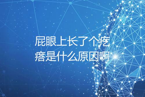屁眼上长了个疙瘩是什么原因啊