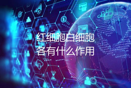 红细胞白细胞各有什么作用