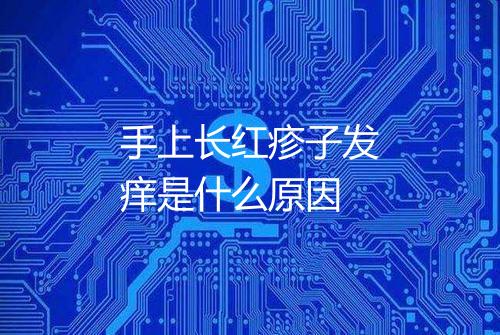手上长红疹子发痒是什么原因