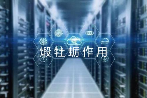 煅牡蛎作用