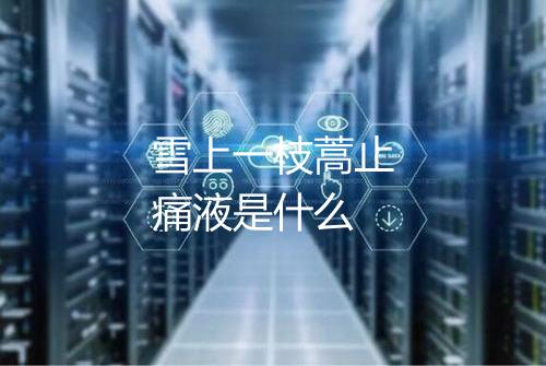 雪上一枝蒿止痛液是什么