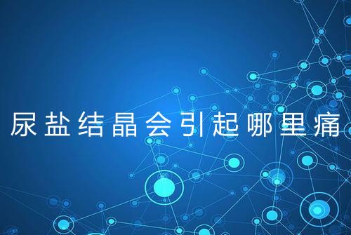 尿盐结晶会引起哪里痛