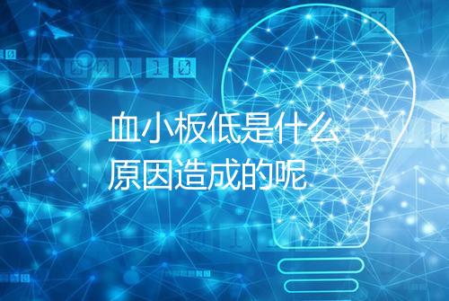 血小板低是什么原因造成的呢