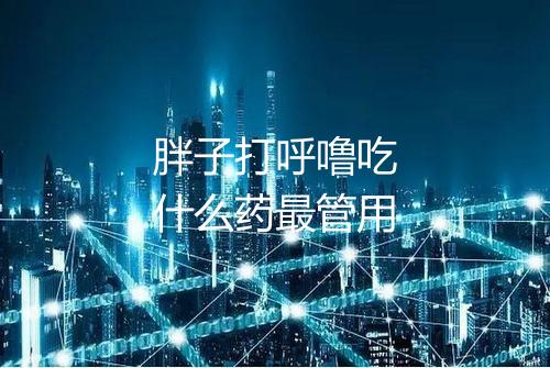 胖子打呼噜吃什么药最管用