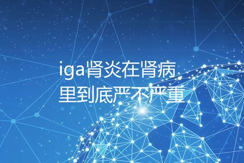 iga肾炎在肾病里到底严不严重