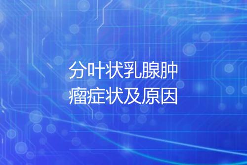 分叶状乳腺肿瘤症状及原因