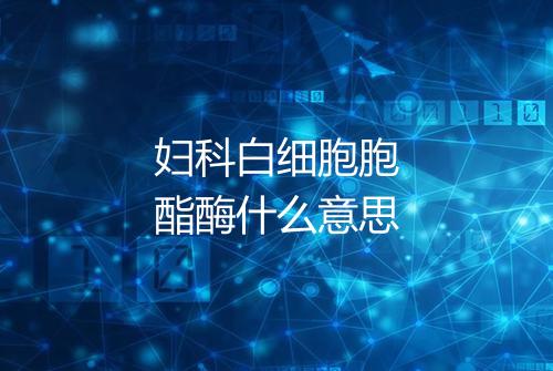 妇科白细胞胞酯酶什么意思