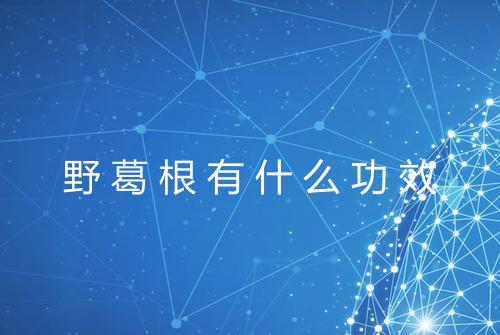 野葛根有什么功效