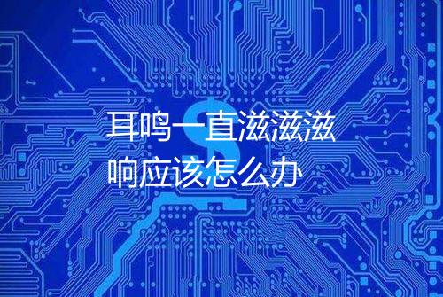 耳鸣一直滋滋滋响应该怎么办