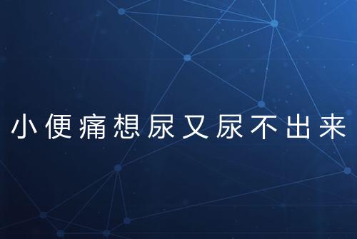 小便痛想尿又尿不出来