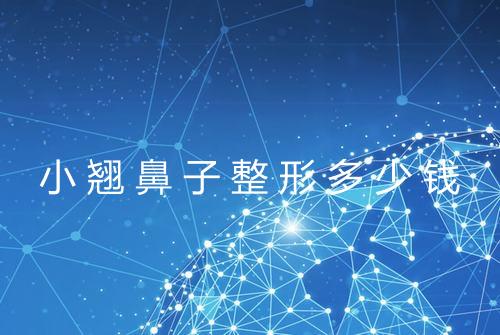 小翘鼻子整形多少钱